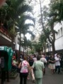 /album/mis-paseos/imagen-035-jpg/